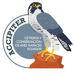 Logo - Association of Falconry and the Conservation of Birds of Prey