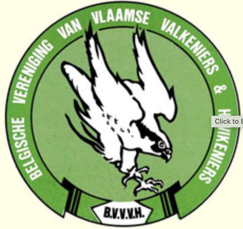 Logo - Belgian Association of Flemish Falconers and Hawkers