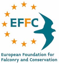 Logo - European Foundation for Falconry and Conservation