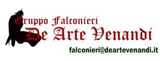 Logo - Falconry Group 