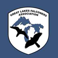 Logo - Great Lakes Falconers Association