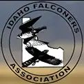 Logo - Idaho Falconers Association