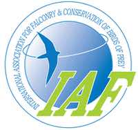 Logo - International Association for Falconry and the Conservation of Birds of Prey - IAF
