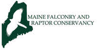 Logo - Maine Falconry and Raptor Conservancy