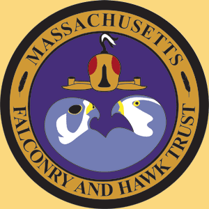 Logo - Massachusetts Falconry and Hawk Trust