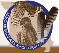 Logo - Missouri Falconers Association