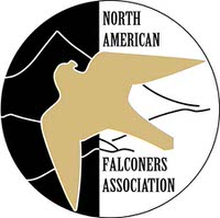 Logo - New York State Falconry Association - NAFA