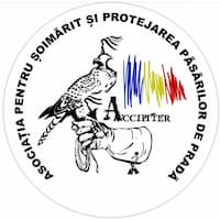 Logo - Romainian Association for Falconry and the Protection of Birds of Prey