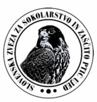 Logo - Slovenian Association for Falconry and Protection of Birds of Prey