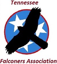 Logo -  Tennessee Falconers Association