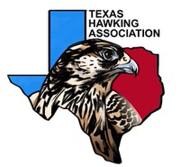 Logo -  Texas Hawking Association