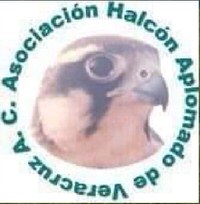 Logo - Veracruz Aplomado Hawking Association