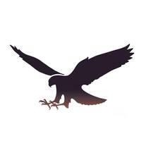 Logo - Wingspan Birds of Prey Trust