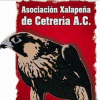 Logo - Xalapeña Falconry Association