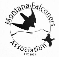 Logo - Monterrey Falconry Association