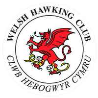 Logo - The Welsh Hawking Club
