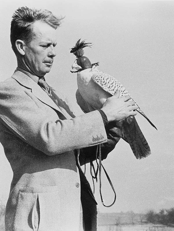 Colonel Russell Luff Meridith known as The Father of American Falconry