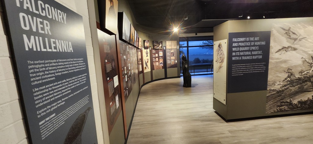 The Archives of Falconry in Flight