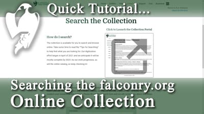 Latest Video - Searching the Online Collection