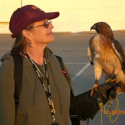 The Archives of Falconry Inductee image