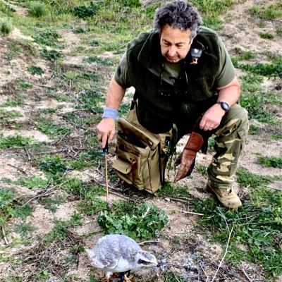 The Archives of Falconry Inductee image