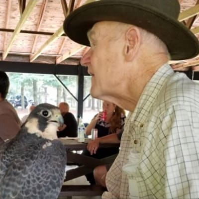 The Archives of Falconry Inductee image