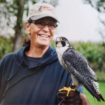 The Archives of Falconry Inductee image