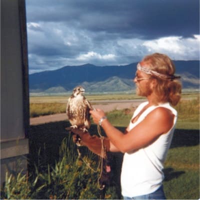 The Archives of Falconry Inductee image