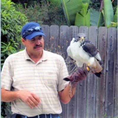 The Archives of Falconry Inductee image