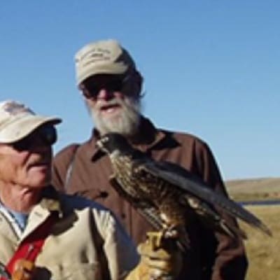 The Archives of Falconry Inductee image