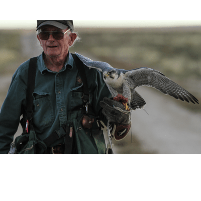 The Archives of Falconry Inductee image