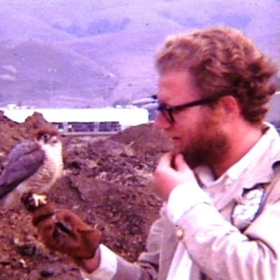 The Archives of Falconry Inductee image