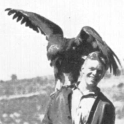 The Archives of Falconry Inductee image