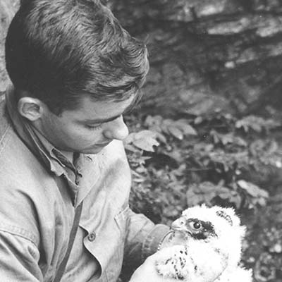 The Archives of Falconry Inductee image