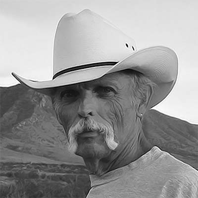 The Archives of Falconry Inductee image