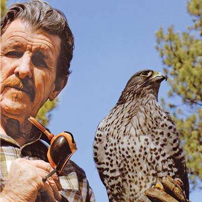 The Archives of Falconry Inductee image