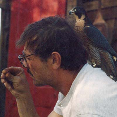 The Archives of Falconry Inductee image