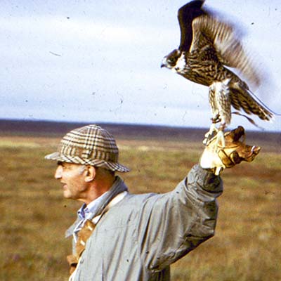 The Archives of Falconry Inductee image