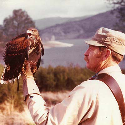 The Archives of Falconry Inductee image