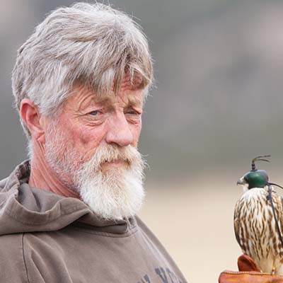 The Archives of Falconry Inductee image