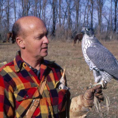 The Archives of Falconry Inductee image