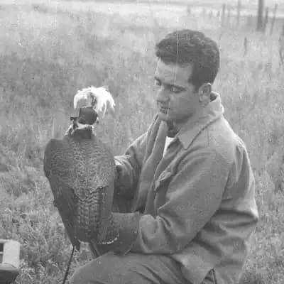 The Archives of Falconry Inductee image