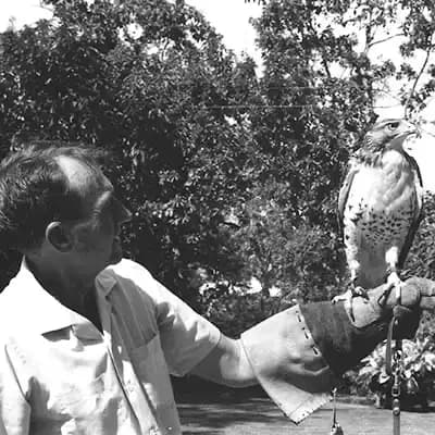 The Archives of Falconry Inductee image