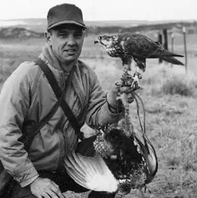 The Archives of Falconry Inductee image
