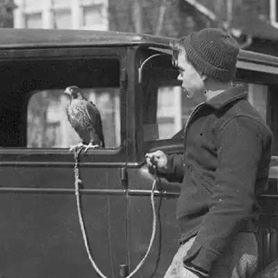 The Archives of Falconry Inductee image