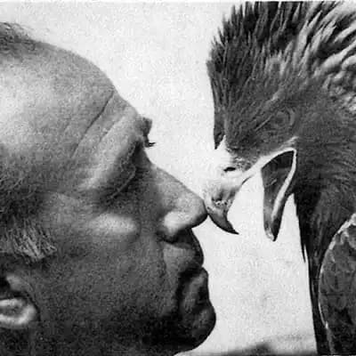 The Archives of Falconry Inductee image
