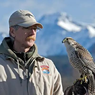 The Archives of Falconry Inductee image