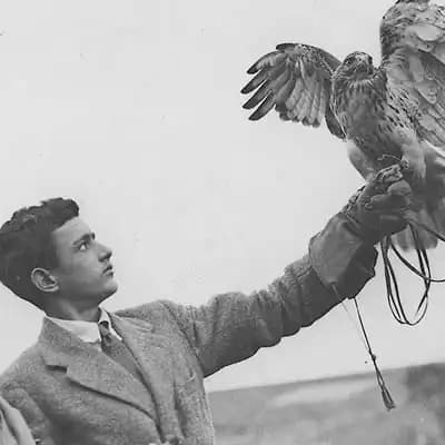 The Archives of Falconry Inductee image