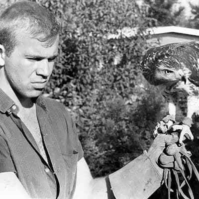 The Archives of Falconry Inductee image