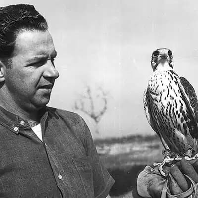 The Archives of Falconry Inductee image